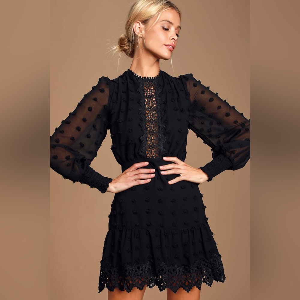 Lulu's Black Swiss Dot Lace Mini Dress